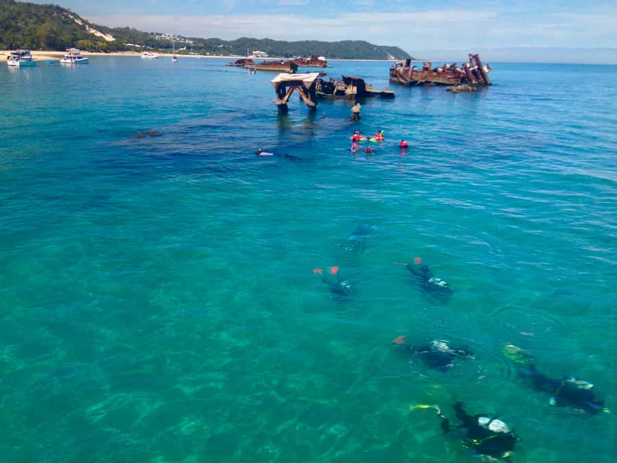 Moreton Island Day-Trip to Scuba Dive and More - Why the Tangalooma Wrecks matter