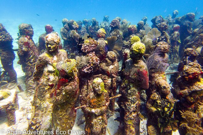 MUSA Museum and Colorful Reef 2 Tank Dive-Certified Divers - Practical details worth knowing