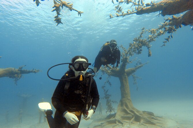 Musan Scuba Diving Private Adventure - What the strongest parts of the session mean for you