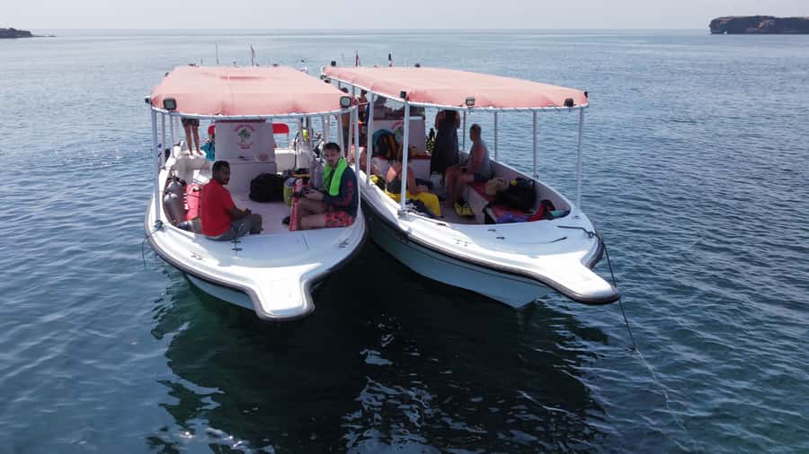 Muscat: Daymaniat Islands Scuba Diving for Beginners - Learning the basics before entering the water