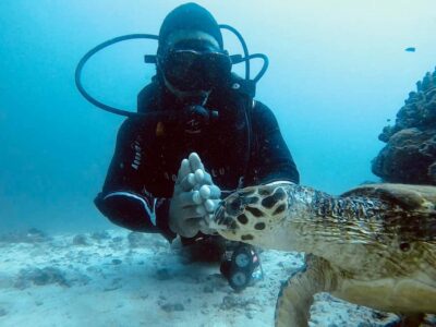Muscat: Daymaniat Islands Scuba Diving for Beginners