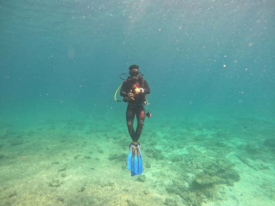 Muscat: Daymaniat Islands Scuba Diving for Beginners - Snorkeling gives you a second way to enjoy the islands