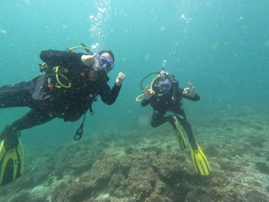 Muscat: Daymaniat Islands Scuba Diving for Beginners - Lunch, drinks, and what the $194 price covers