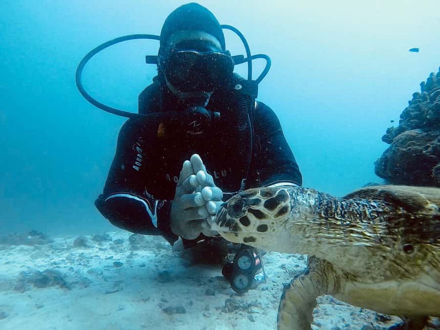 Muscat: Daymaniat Islands Scuba Diving for Beginners - The boat ride to Oman’s Daymaniat Islands