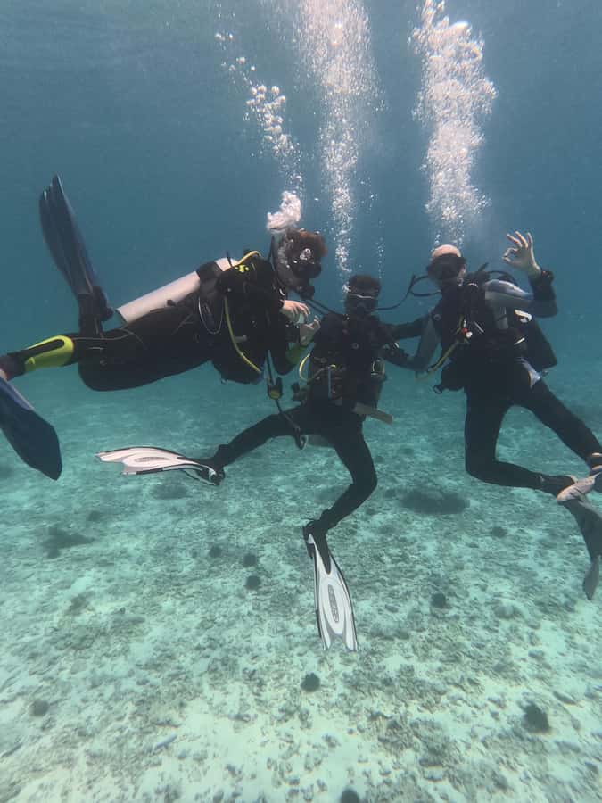 Muscat: Daymaniat Islands Try Scuba Diving - Should you book the Daymaniat Islands trip?