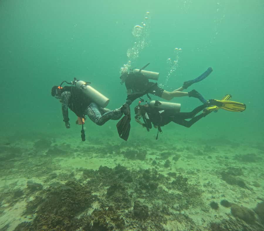 Muscat: Daymaniat Islands Try Scuba Diving - What happens at the Daymaniat Islands