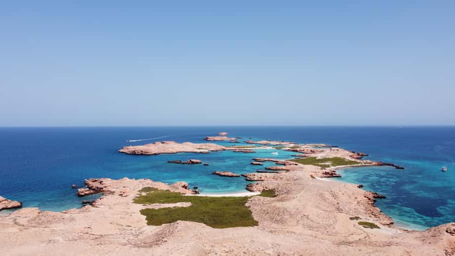 Muscat: Daymaniyat Island Scuba Dive 2 locations + BBQ Lunch - What you might see below the surface