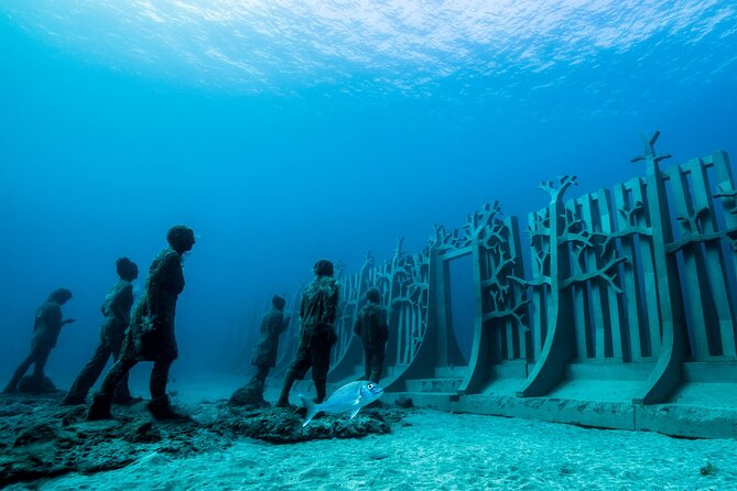 Museo Atlantico for certified divers - Booking and Cancellation Details