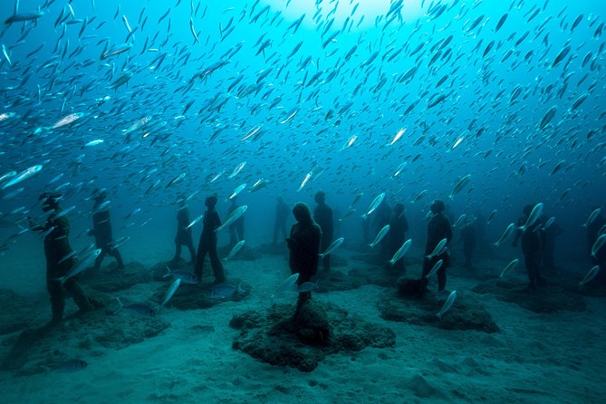 Museo Atlantico for non-certified divers - What the underwater visit feels like