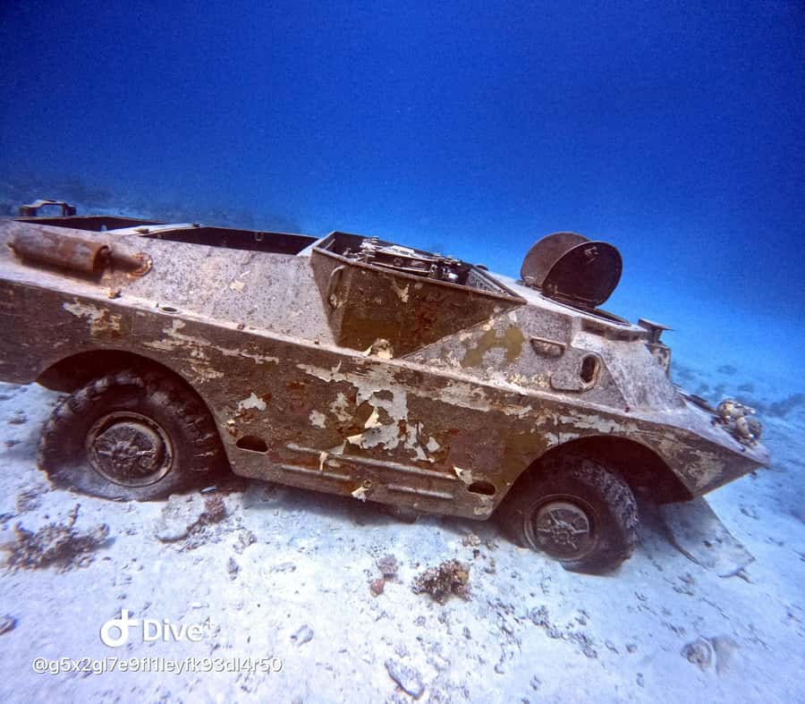Museum Diving Experience in the Red Sea - Key points before you book