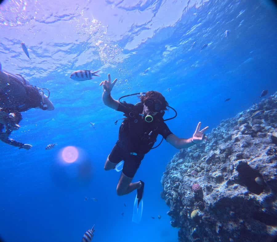 Museum Diving Experience in the Red Sea - The marine life around the wrecks