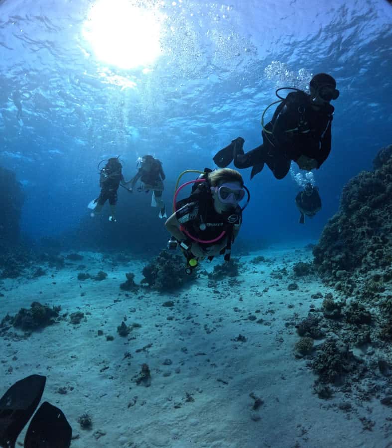 Museum Diving Experience in the Red Sea - Lunch between the two site visits