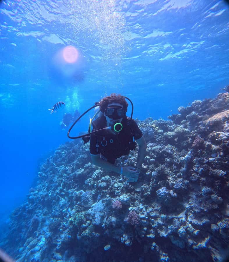 Museum Diving Experience in the Red Sea - The second underwater stop
