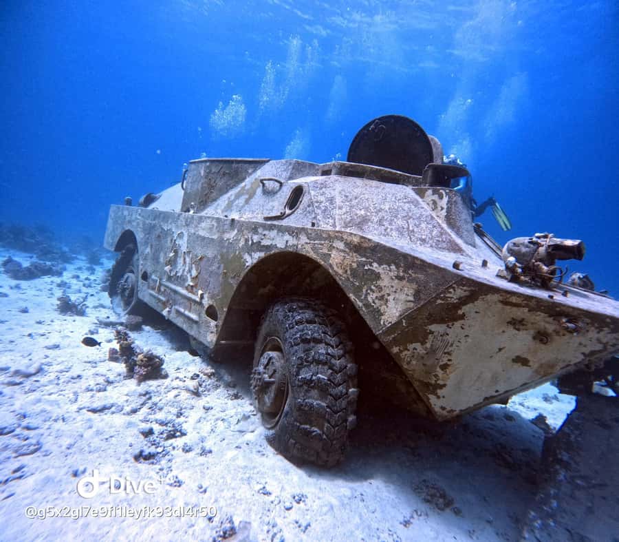 Museum Diving Experience in the Red Sea - The ride back and the real value of $61