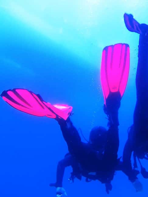 My first scuba dive into the Ocean from Sao Miguel - Key points to know before you book