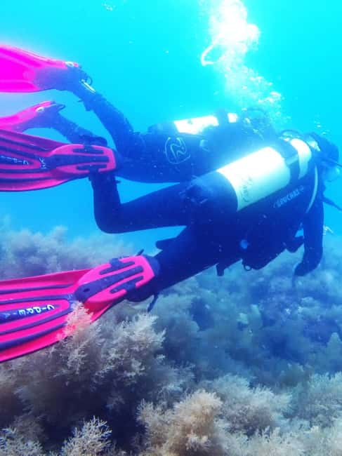 My first scuba dive into the Ocean from Sao Miguel - Starting at Marina de Vila Franca do Campo