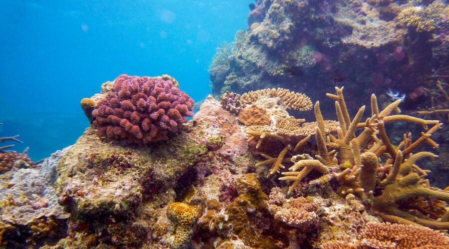 Naha, Okinawa: Kerama Islands Full-Day Intro-Diving Trip - The first water stop and your introductory scuba session