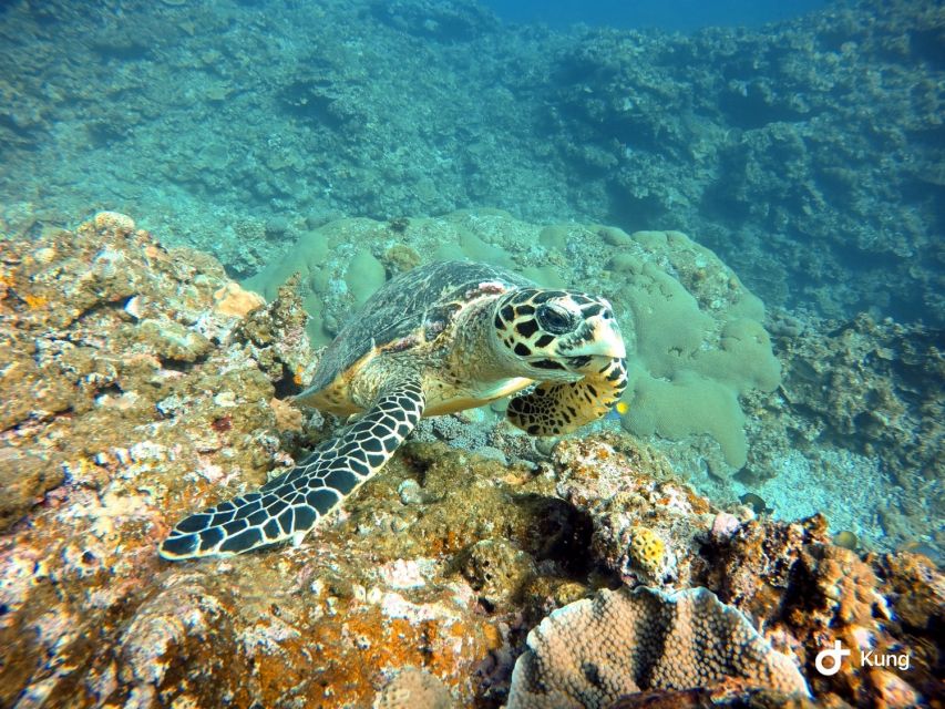 Naha, Okinawa: Kerama Islands Full-Day Intro-Diving Trip - Lunch, hot showers, and the value of the boat