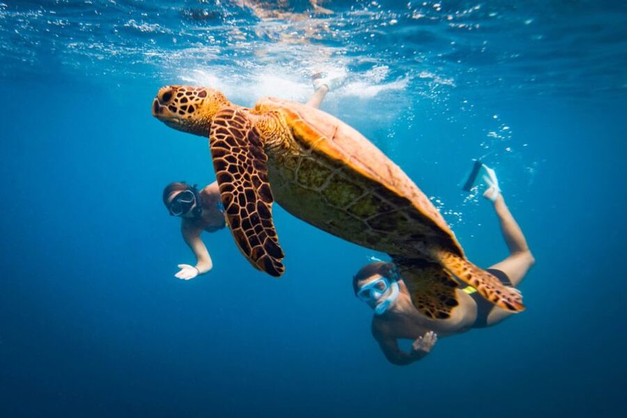 Naxos: Discover Scuba Diving on Agios Georgios Beach - Key points for your Naxos scuba session
