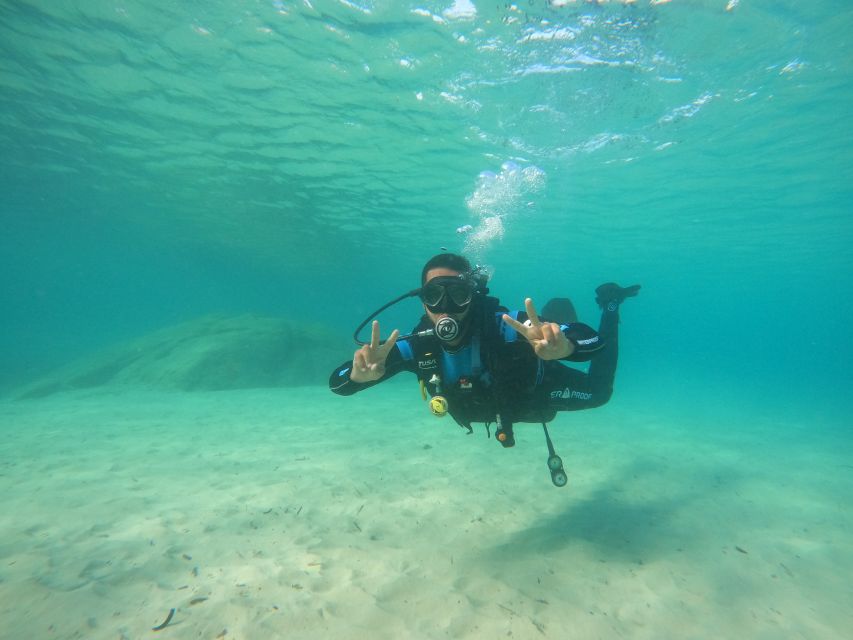Naxos: Discover Scuba Diving on Agios Georgios Beach - A gentle introduction at Agios Georgios Beach