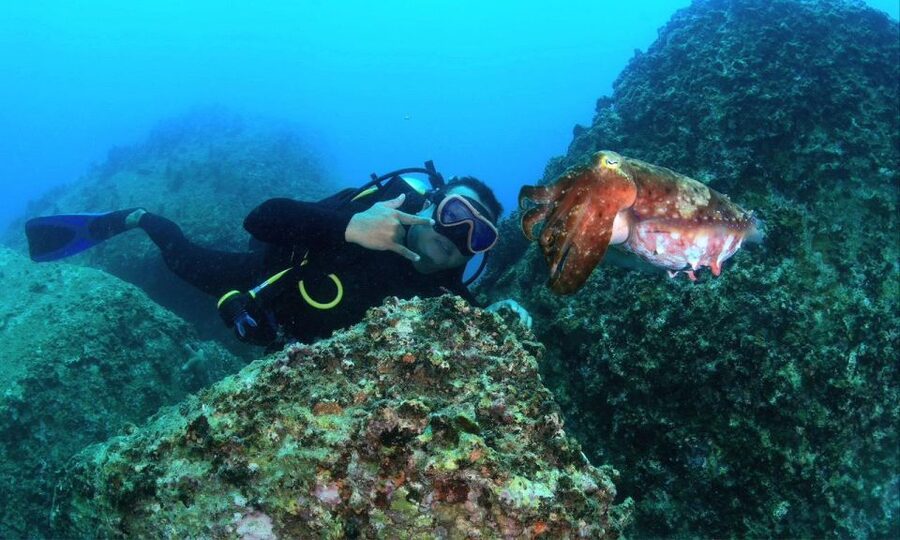 Nha Trang : Scuba diving experience for certified dive - Is $51 good value for certified scuba users?