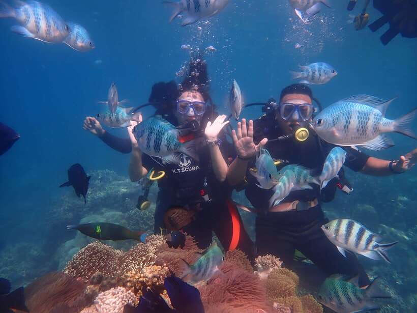 Nha Trang : Scuba diving experience for certified dive - Preparing your equipment and entering the water