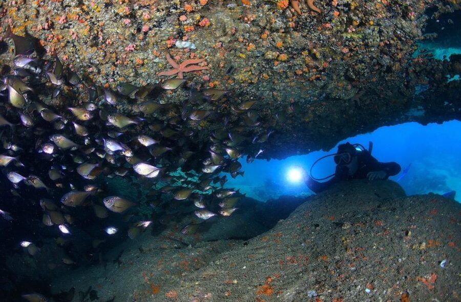 Nha Trang: Scuba Diving Experience for Non-Certified Divers - Safety, health, and what to bring