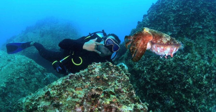 Nha Trang: Scuba Diving Experience for Non-Certified Divers - Lunch at the fisherman base