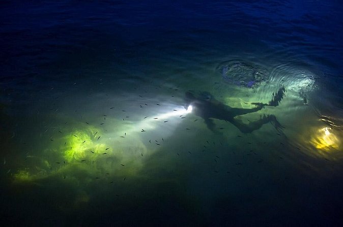 Night Shore Diving Mangel Halto Aruba for Certified Divers - Who should book this experience?
