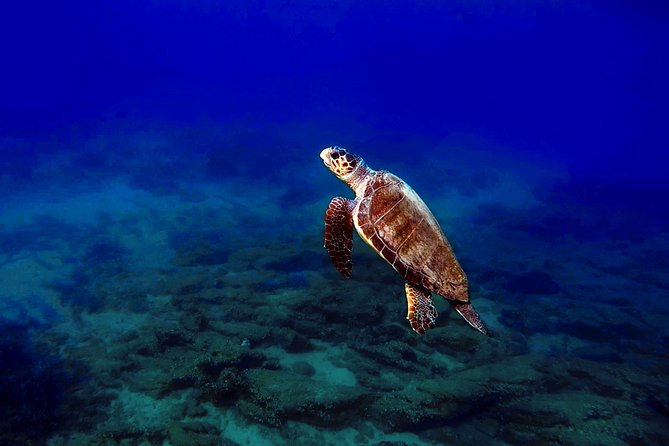 Nima Diving Center, Naxos, Greece - Why the private format is worth considering