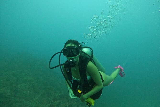Non-Certified Diving Adventure in Cabo San Lucas - The underwater session lasts up to an hour