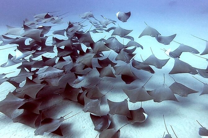 Non-Certified Diving Adventure in Cabo San Lucas - The boat ride to El Arco adds a second experience