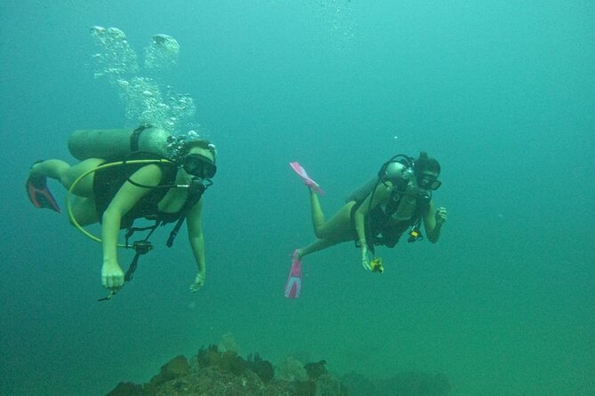 Non-Certified Diving Adventure in Cabo San Lucas - Timing works well for a Cabo morning