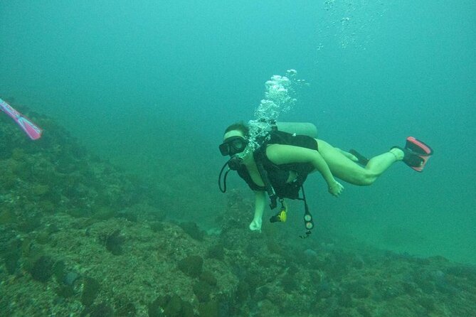Non-Certified Diving Adventure in Cabo San Lucas - How to judge the value without a listed price