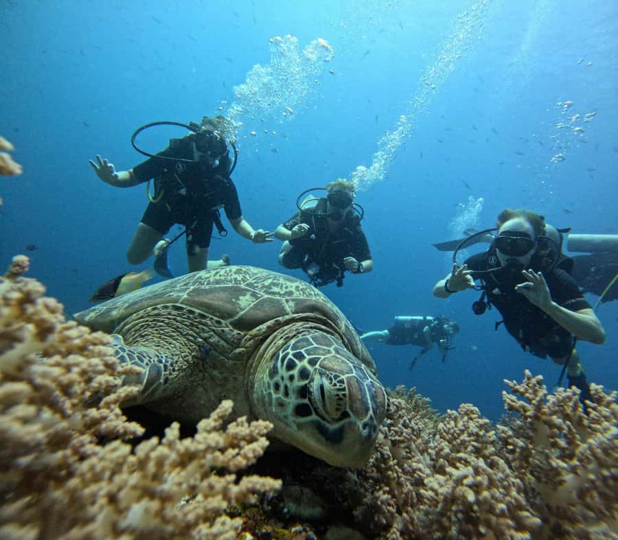 North of Mauritius: Scuba Diving Tour - The boat ride and safety briefing
