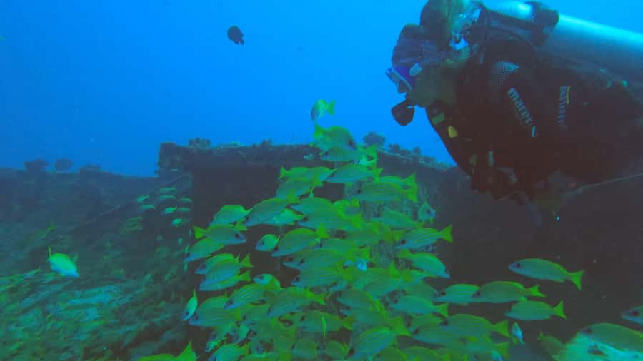 North of Mauritius: Scuba Diving Tour - Trou aux Biches, Pereybere, and the choice of site