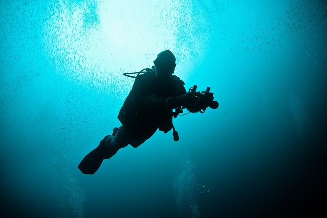 Nusa Penida Two Dives Trip for Certified Divers - Key points to know before you book