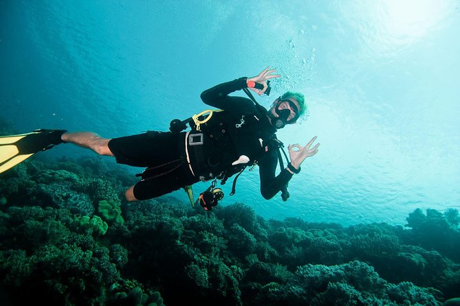 Nusa Penida Two Dives Trip for Certified Divers - Manta Point and the appeal of wild encounters