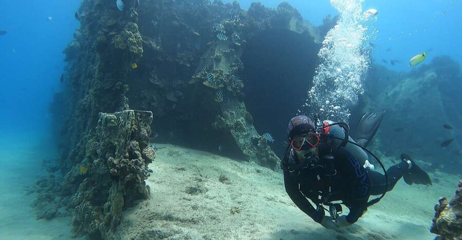 Oahu: Beginner SCUBA Dive at Electric Beach - The 45-minute briefing gets you ready
