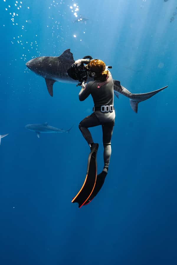 Oahu: Cageless Shark Dive Adventure - Why the small group makes a difference