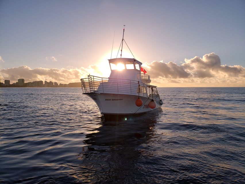 Oahu Night Dive: Adventure for Certified Divers - Why nighttime changes Oahu’s reefs