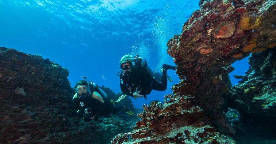 Oahu: Shallow Reef Scuba Dive for Certified Divers - Two reef sessions in Southern Oahu