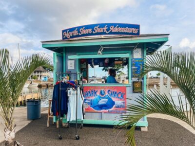 Oahu: Shark Cage Dive on the North Shore
