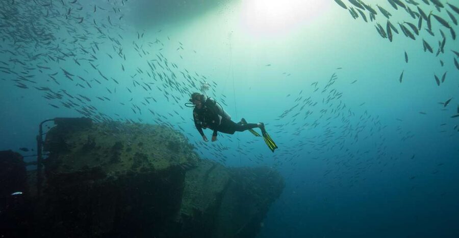 Oahu: Wreck & Reef Scuba Dive for Certified Divers - The surface interval is part of the value