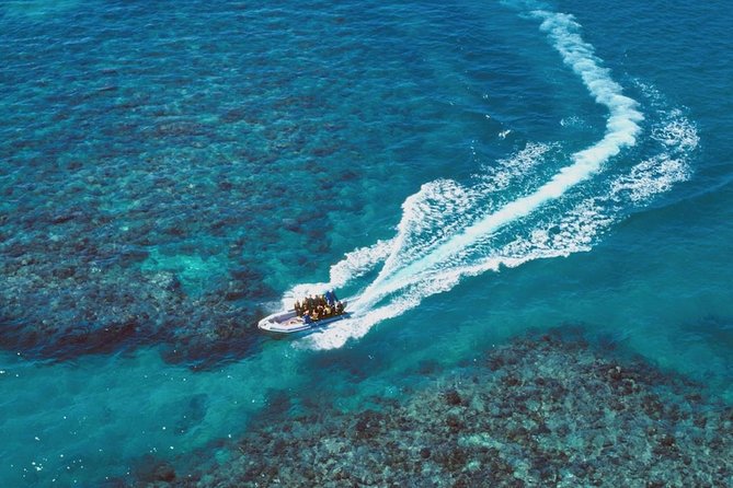Ocean Freedom Great Barrier Reef Luxury Snorkel and Dive Cruise - Wonder Wall and the guided drift snorkel