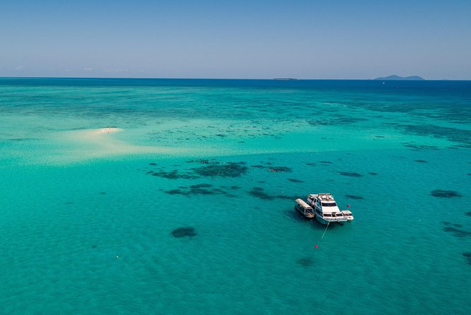 Ocean Freedom Great Barrier Reef Luxury Snorkel and Dive Cruise - What the food service adds to the day