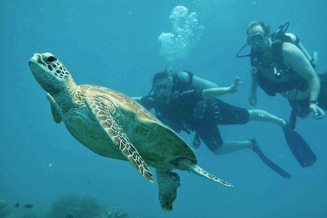 Ocean Freedom Great Barrier Reef Luxury Snorkel and Dive Cruise - Is 75 people too many?