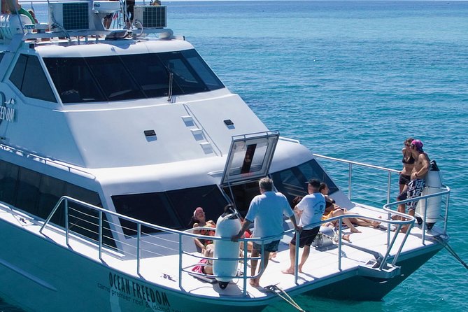 Ocean Freedom Great Barrier Reef Luxury Snorkel and Dive Cruise - Weather, visibility, and setting realistic expectations