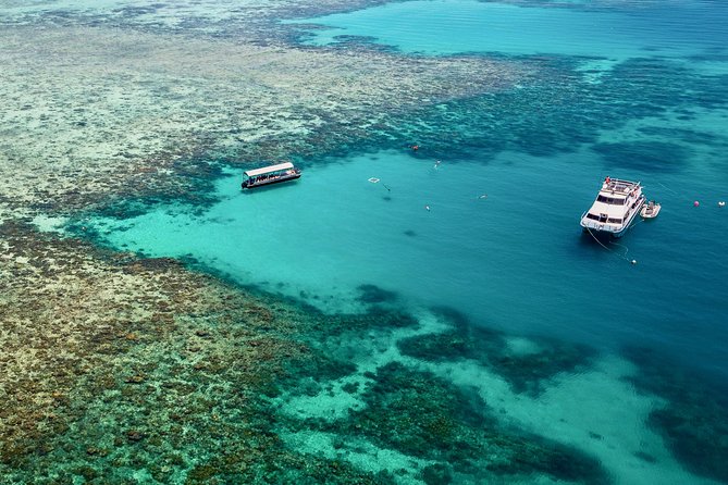 Ocean Freedom Great Barrier Reef Luxury Snorkel and Dive Cruise - Morning aboard the Ocean Freedom catamaran
