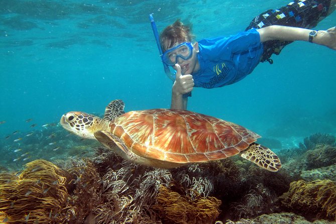 Ocean Spirit Sail to Michaelmas Cay Snorkel or Dive, from Cairns - First sight of the protected sand cay